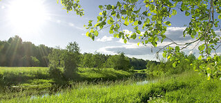 umweltbewusst recycling @